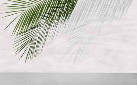 Tropical leaves over gray table casting shadow on white wall with pattern, space for textの写真素材
