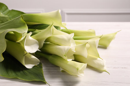 Beautiful calla lily flowers on white table, closeupの写真素材