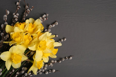 Bouquet of beautiful yellow daffodils and willow twigs on gray wooden table, top view. Space for textの写真素材
