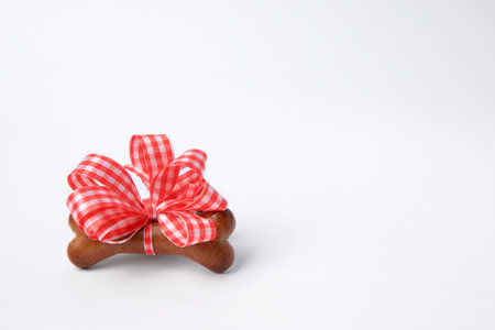 Bone shaped dog cookie with red bow on white background, space for textの写真素材