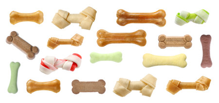 Set with different bone dog treats on white backgroundの写真素材