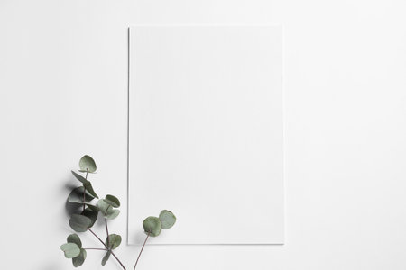 Empty sheet of paper and decorative eucalyptus leaves on white background, flat lay. Mockup for designの写真素材