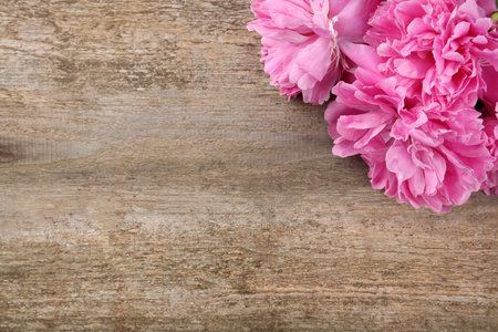 Beautiful pink peonies on wooden table, top view. Space for textの写真素材