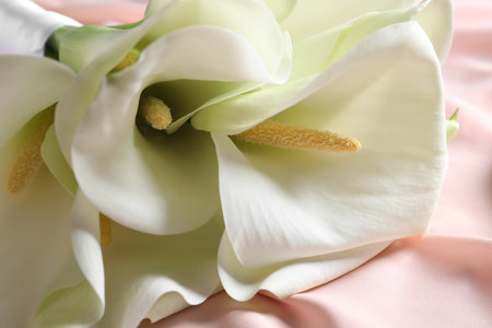 Beautiful calla lily flowers on pink fabric, closeupの写真素材