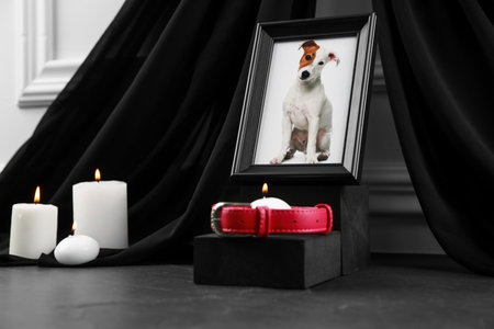 Frame with picture of dog, collar and burning candles on gray table. Pet funeralの写真素材
