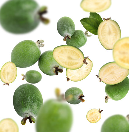 Fresh feijoa fruits and leaves falling on white backgroundの写真素材