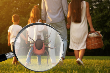 Seasonal hazard of outdoor recreation. Family with picnic basket in park. Illustration of magnifying glass with tick, selective focusの写真素材