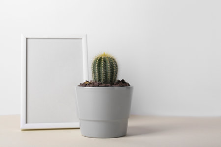 Beautiful cactus in pot and frame on beige tableの写真素材