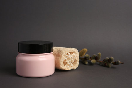 Jar with cosmetic product, loofah sponge and willow branch on dark gray backgroundの写真素材