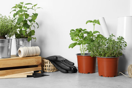 Different aromatic potted herbs, gardening tools, gloves and spool of thread on floor near white wallの写真素材