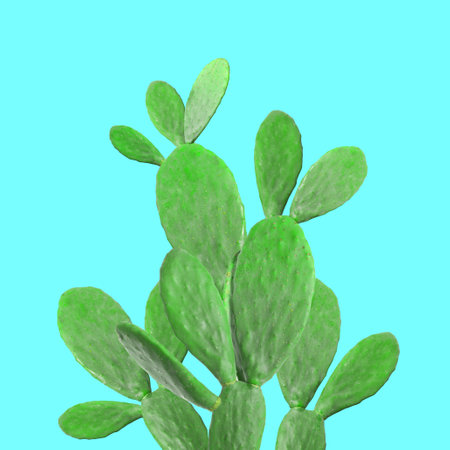 Beautiful green cactus plant on cyan backgroundの写真素材