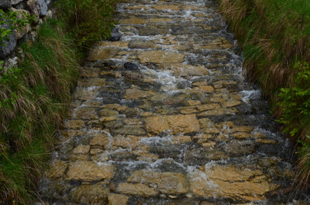 View of beautiful stream flowing on path covered with natural stonesの写真素材