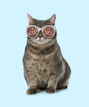 Cute fluffy cat with sunglasses on light blue backgroundの写真素材