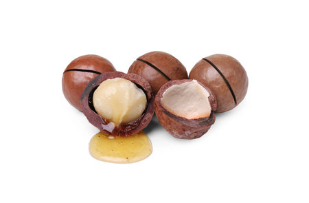Delicious organic Macadamia nuts isolated on whiteの写真素材