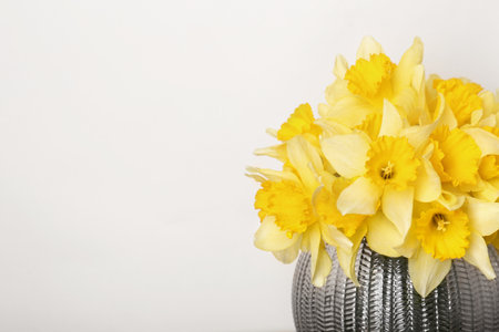 Bouquet of beautiful yellow daffodils in vase near beige wall. Space for textの写真素材