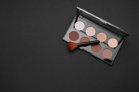 Contouring palette and brush on black background, top view with space for text. Professional cosmetic productの写真素材