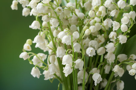 Beautiful lily of the valley flowers on blurred green background, closeup