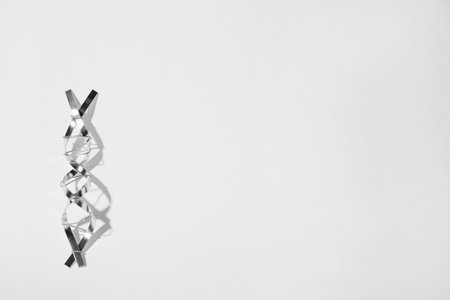 DNA molecular chain model made of metal on white background, top view. Space for text