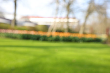 Blurred view of beautiful park on sunny dayの写真素材