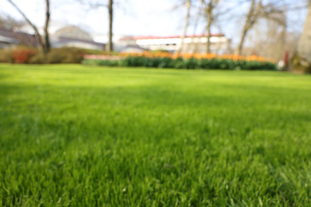 Blurred view of beautiful park on sunny dayの写真素材