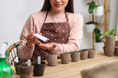Woman planting vegetable seeds into peat pots with soil at wooden table indoors, closeupの写真素材