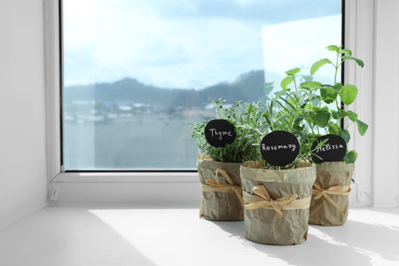 Different fresh potted herbs on windowsill indoors. Space for textの写真素材