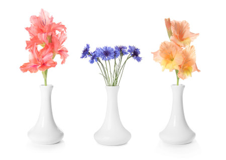 Collage of stylish vase with different bouquets on white backgroundの写真素材