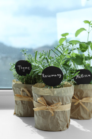 Different fresh potted herbs on windowsill indoorsの写真素材