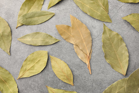 Aromatic bay leaves on light gray table, flat layの写真素材
