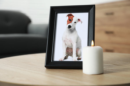 Frame with picture of dog and burning candle on wooden table indoors. Pet funeralの写真素材