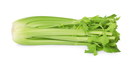 Fresh green celery bunch isolated on whiteの写真素材