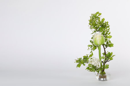 Beautiful ikebana for stylish house decor. Floral composition with fresh tulip flower and blooming branches on white background, space for textの写真素材