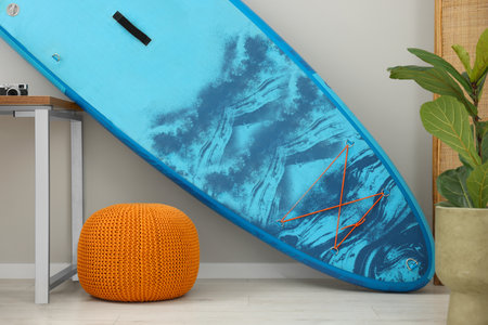 SUP board, orange pouf and houseplant in room. Interior elementの写真素材