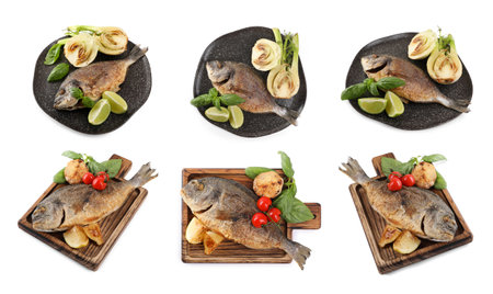Delicious roasted dorado fish with vegetables, basil and citrus fruits on white background, collage designの写真素材