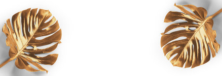 Beautiful gold painted monstera leaves on white background, top viewの写真素材