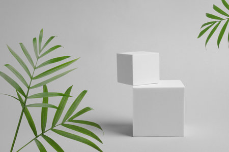 Stylish presentation for product. White geometric figures and bright green leaves on light backgroundの写真素材