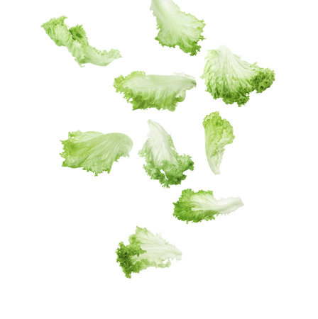 Fresh green lettuce leaves falling on white backgroundの写真素材