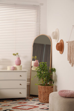 Chest of drawers, mirror and houseplant in bedroom. Stylish interiorの写真素材