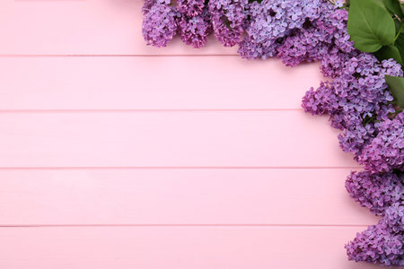 Beautiful lilac flowers on pink wooden background, top view with space for textの写真素材
