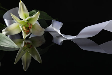 White lily and ribbon on black mirror surface in darkness, closeup with space for text. Funeral symbolsの写真素材