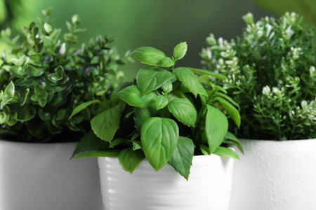 Different artificial potted herbs against blurred green background, closeupの写真素材