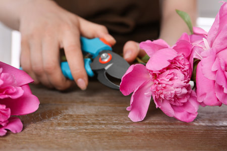 Woman trimming beautiful pink peonies with secateurs at wooden table, selective focusの写真素材
