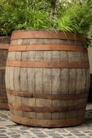 Traditional wooden barrel and green plants outdoorsの写真素材