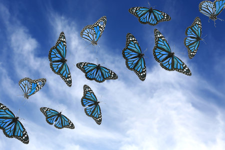 Many beautiful butterflies flying in blue sky