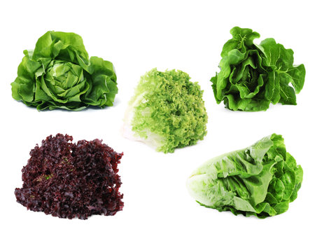 Different types of lettuce isolated on white, collage designの写真素材