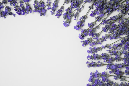 Beautiful aromatic lavender flowers on white background, flat lay. Space for textの写真素材