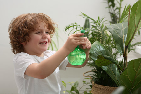 Cute little boy spraying beautiful green plant at home. House decorの写真素材