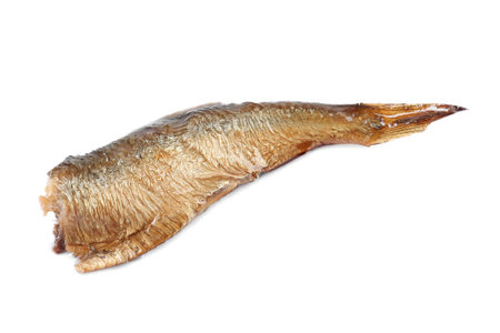 One tasty canned sprat isolated on whiteの写真素材