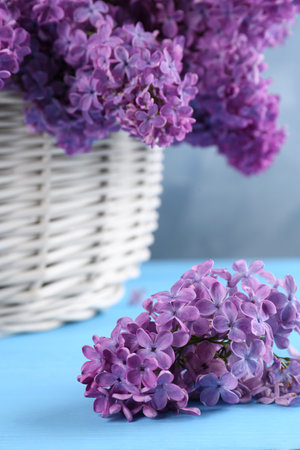 Beautiful lilac flowers on light blue wooden table, closeupの写真素材