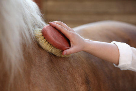 Woman brushing adorable horse outdoors, closeup. Pet careの写真素材